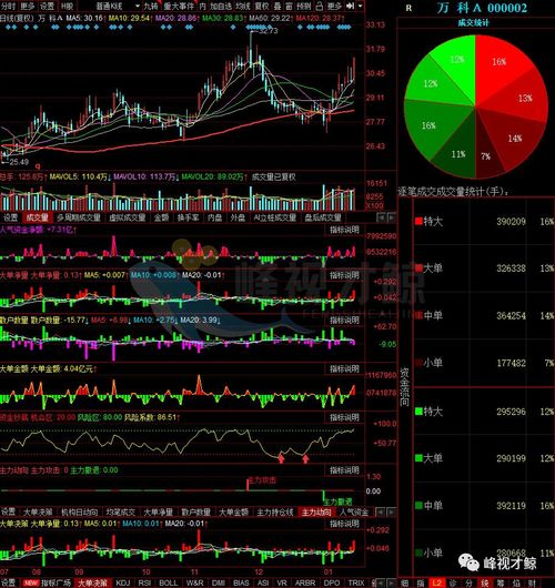 1月18日A股物業(yè)管理板塊資金凈流入排行榜TOP10